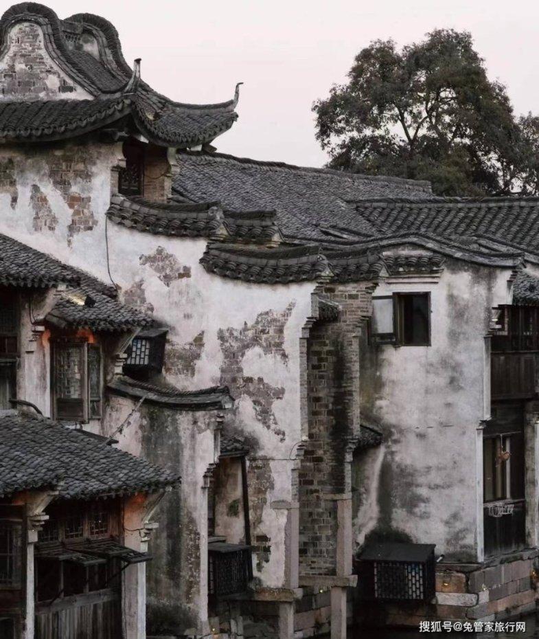不请自来的客人